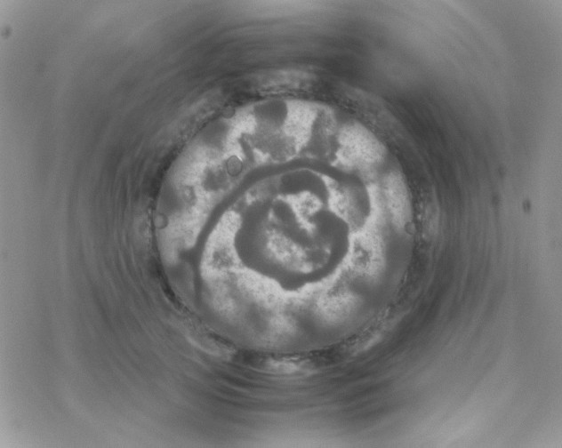 X0000077360753200611171923