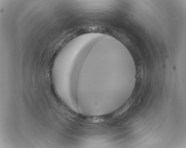 X0000077360754200611171923