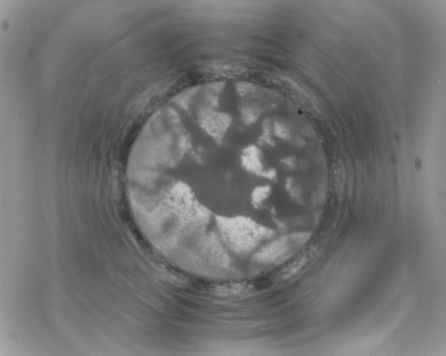 X0000077360757200611171923