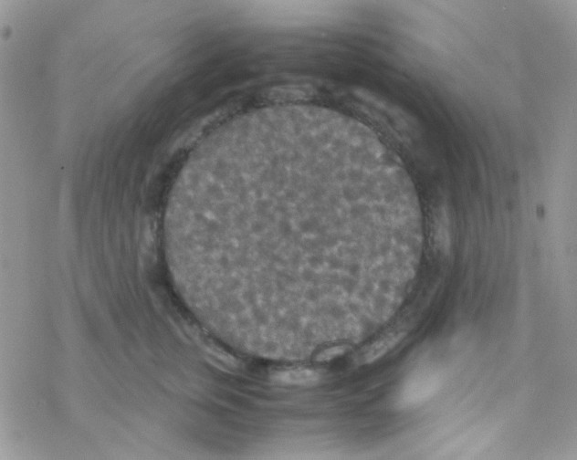 X0000077360759200611171923