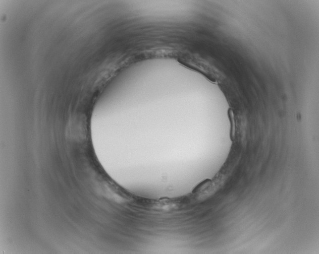 X0000077360760200611171923