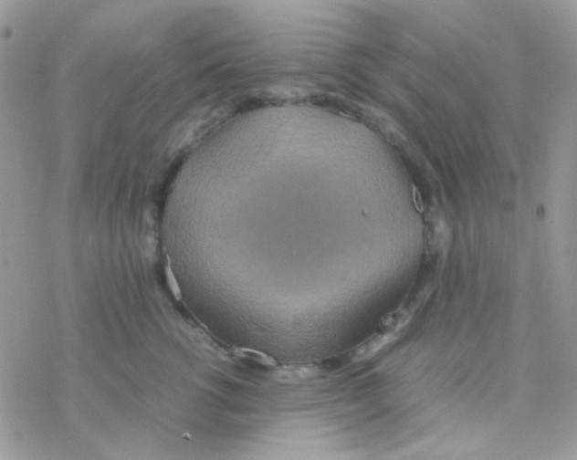 X0000077360762200611171923