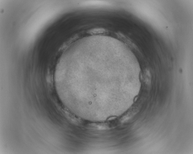 X0000077360763200611171923