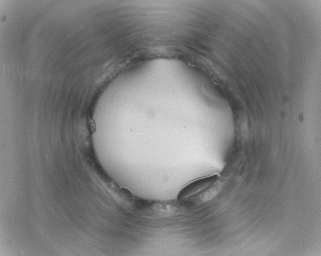 X0000077360764200611171923