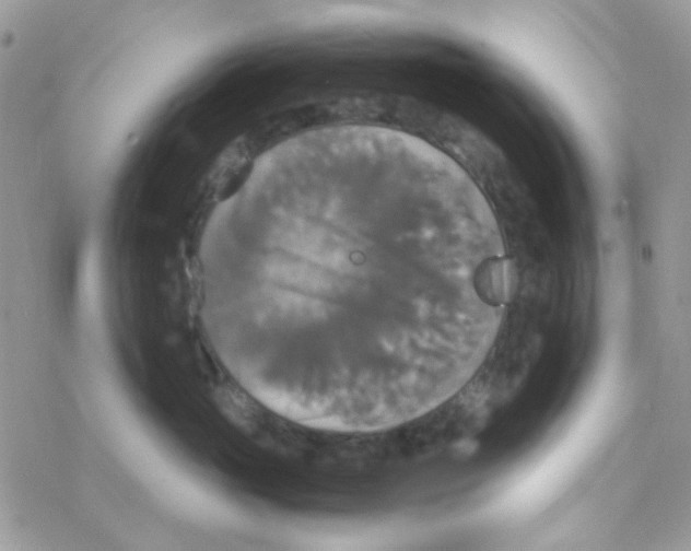 X0000077360765200611171923