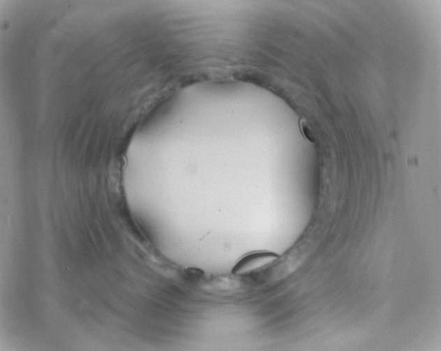 X0000077360768200611171923