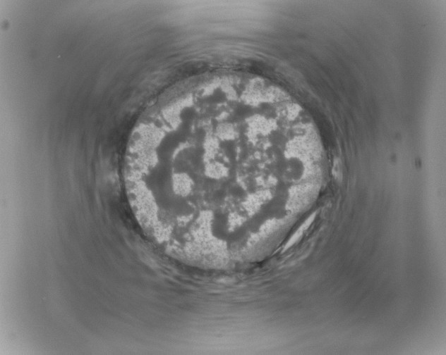 X0000077360771200611171922