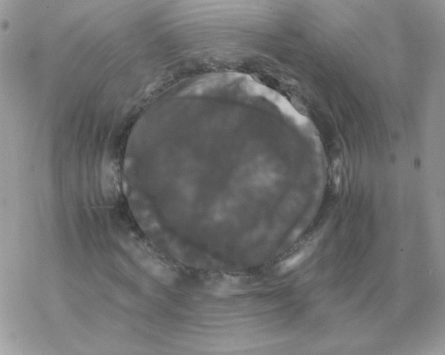 X0000077360772200611171922