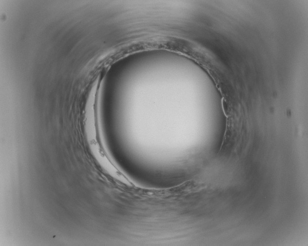 X0000077360773200611171922