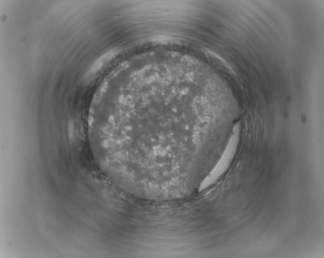 X0000077360776200611171922