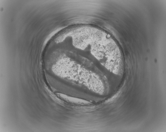 X0000077360779200611171922