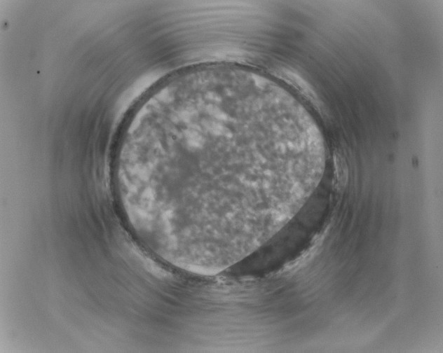 X0000077360780200611171922