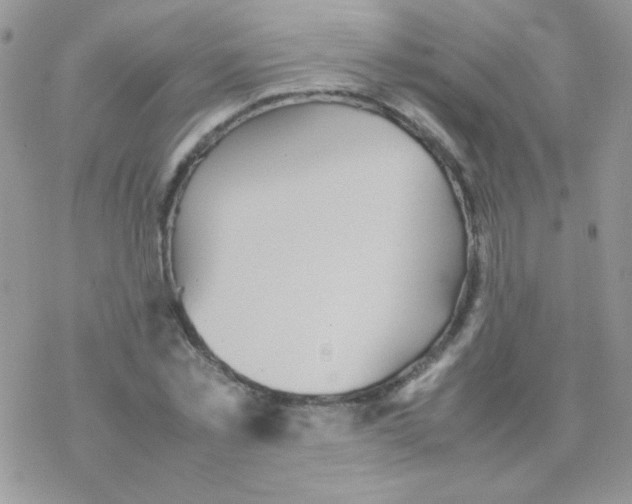 X0000077360781200611171922