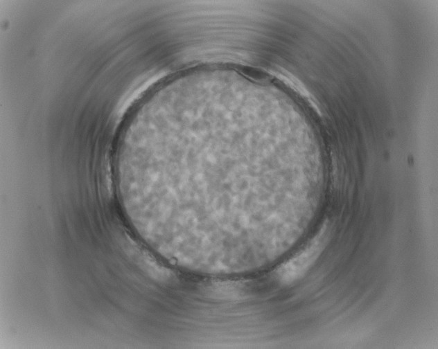 X0000077360782200611171922