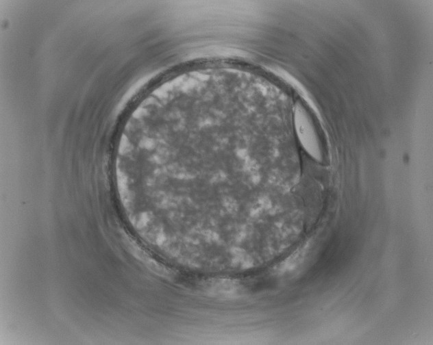 X0000077360783200611171922