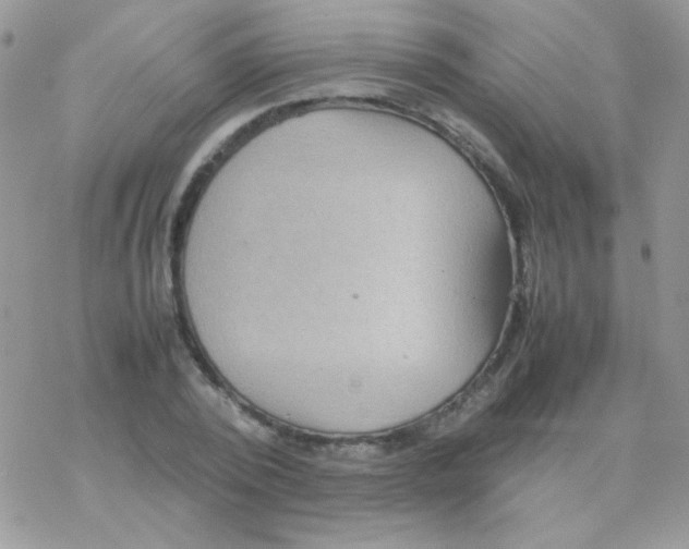 X0000077360784200611171922