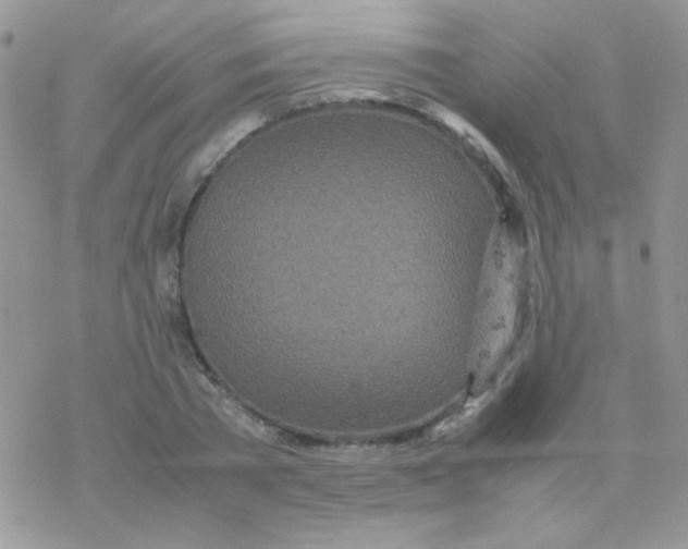 X0000077360785200611171922