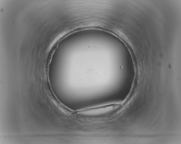 X0000077360789200611171922