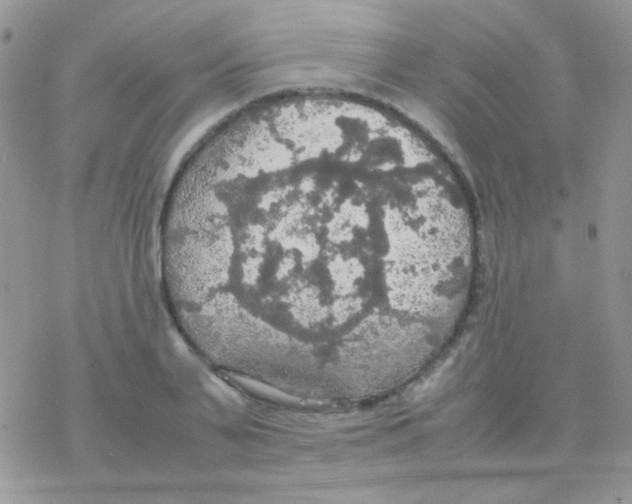 X0000077360791200611171922