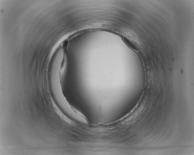 X0000077360792200611171922