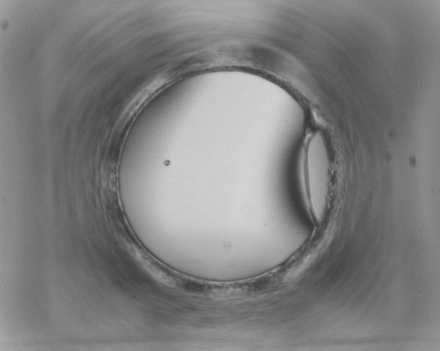 X0000077360793200611171922