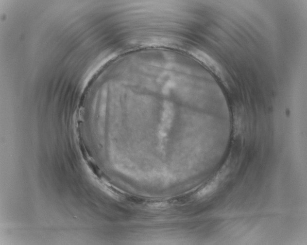 X0000077360798200611171922