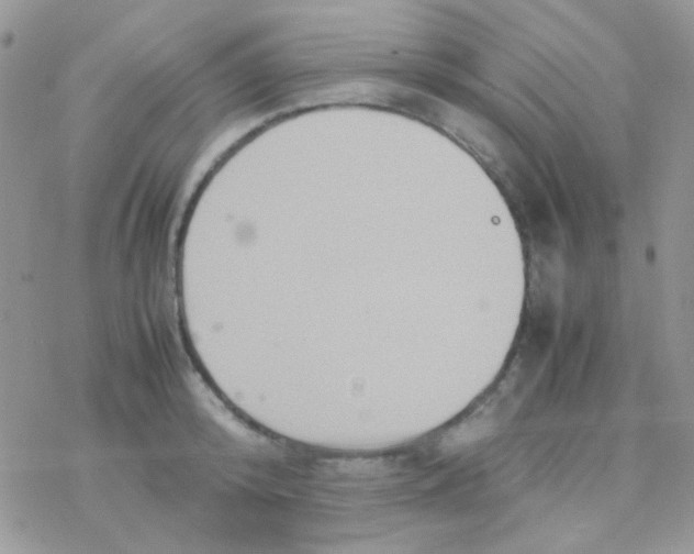 X0000077360800200611171922