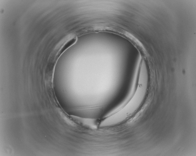 X0000077360801200611171922