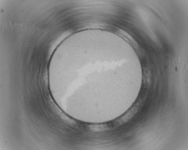 X0000077360804200611171922