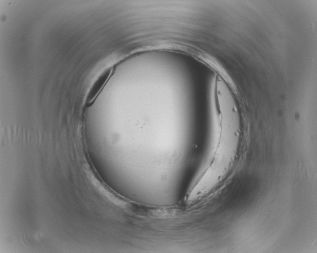 X0000077360805200611171922