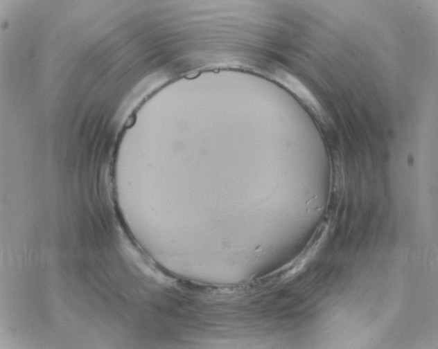 X0000077360806200611171922