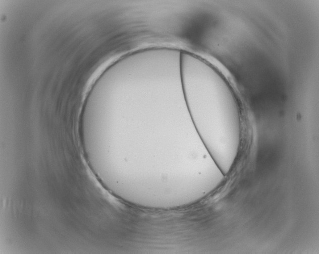 X0000077360807200611171922