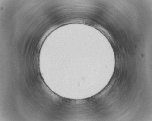 X0000077360808200611171922