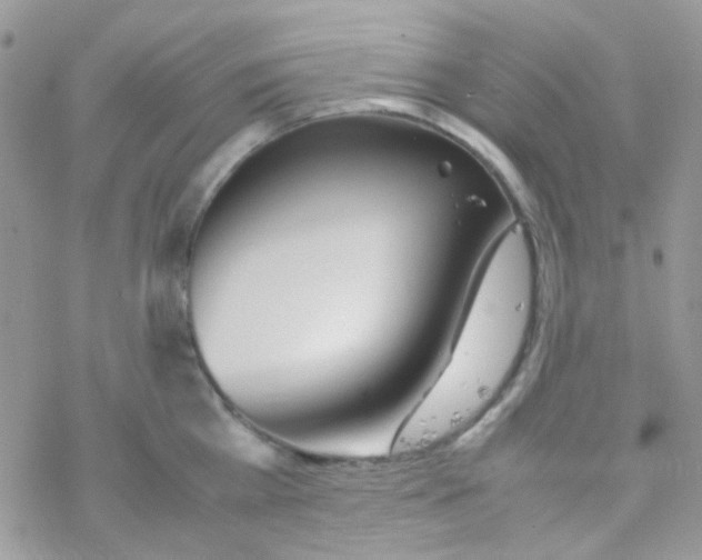 X0000077360809200611171922