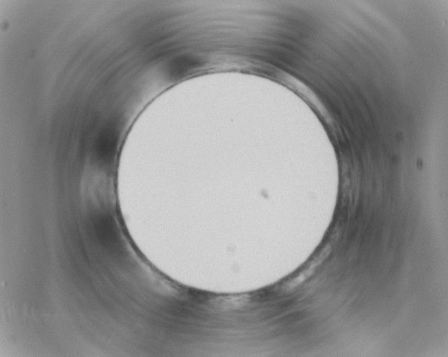 X0000077360810200611171922