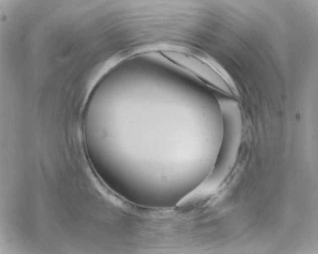 X0000077360813200611171922