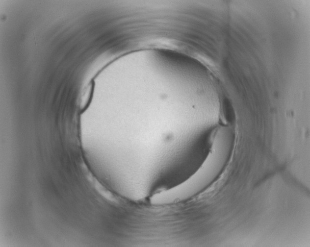 X0000077360816200611171921