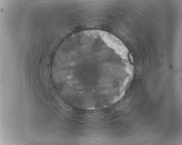 X0000077360817200611171921