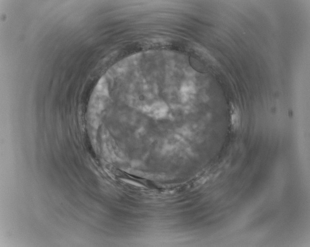 X0000077360819200611171921