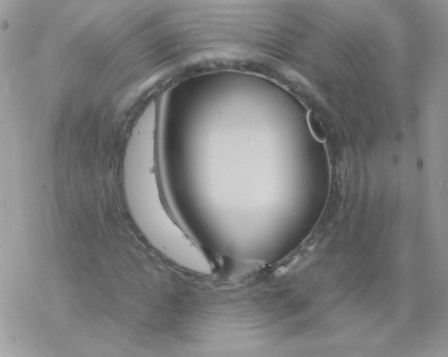 X0000077360822200611171921