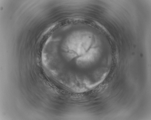 X0000077360823200611171921