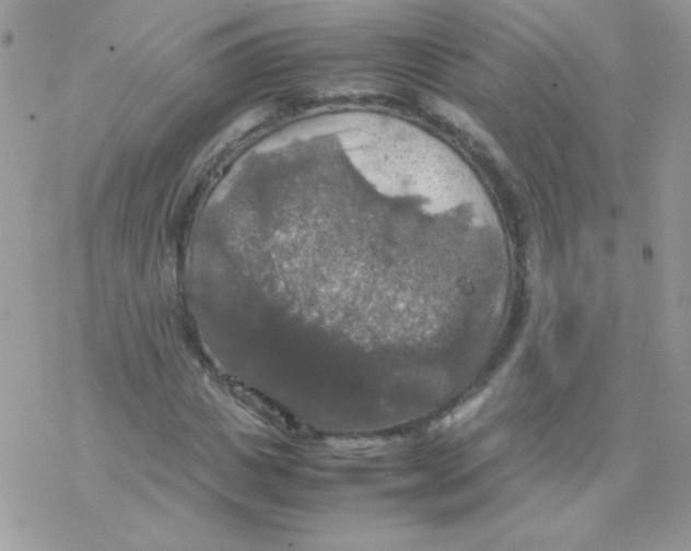 X0000077360825200611171921