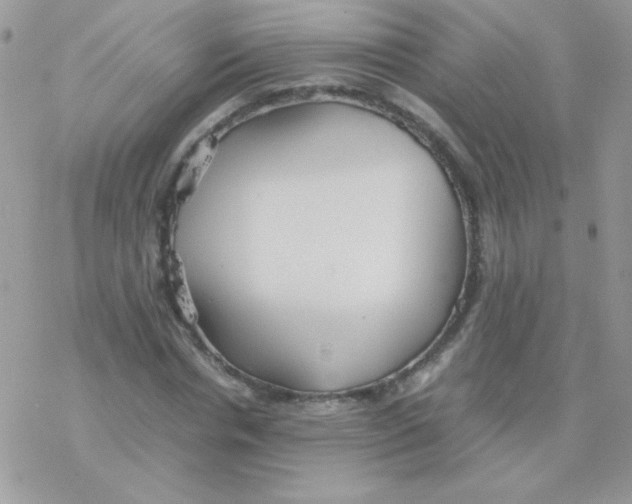 X0000077360826200611171921