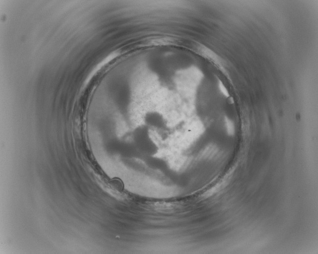 X0000077360827200611171921