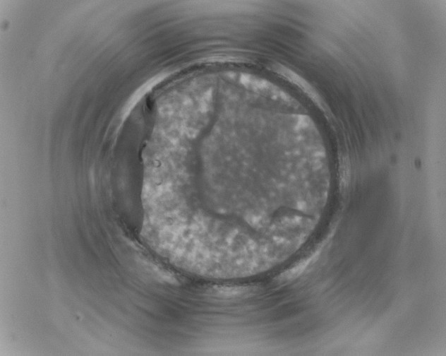 X0000077360829200611171921