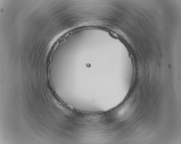 X0000077360830200611171921