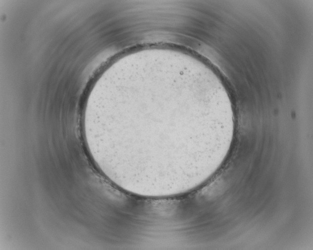 X0000077360832200611171921