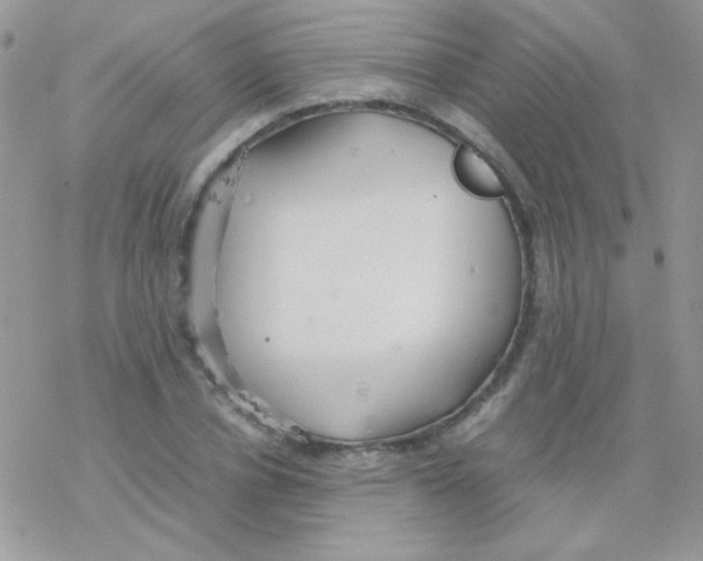 X0000077360834200611171921