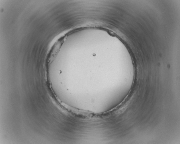 X0000077360838200611171921