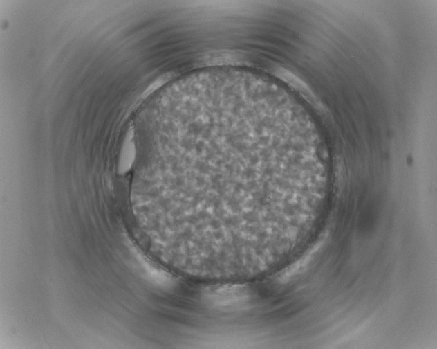 X0000077360841200611171921